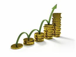 DNS Wealth